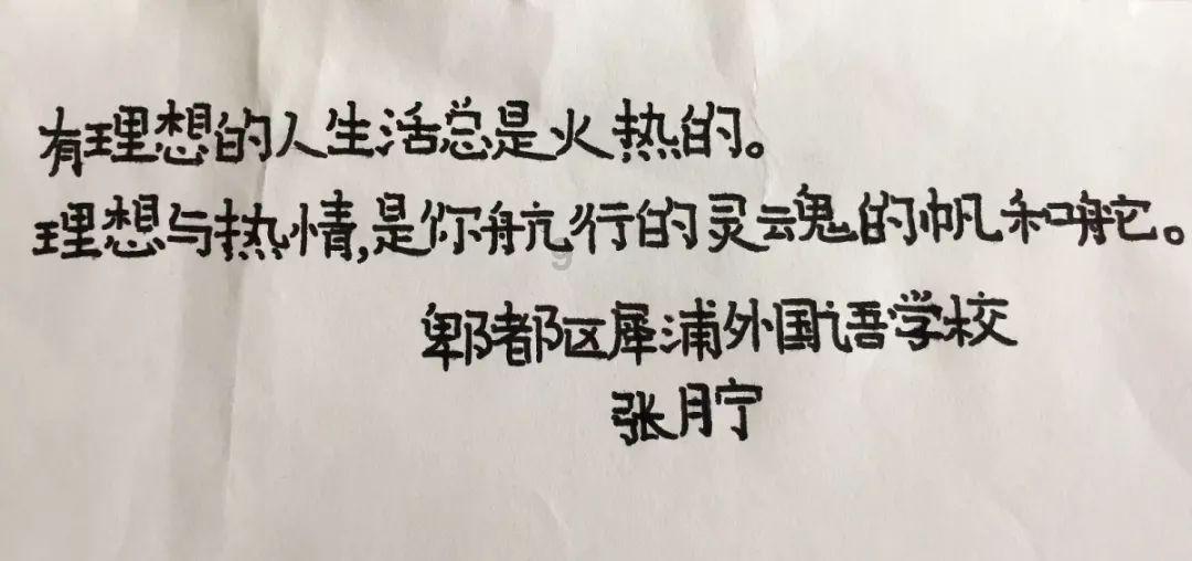 救援小孔雀