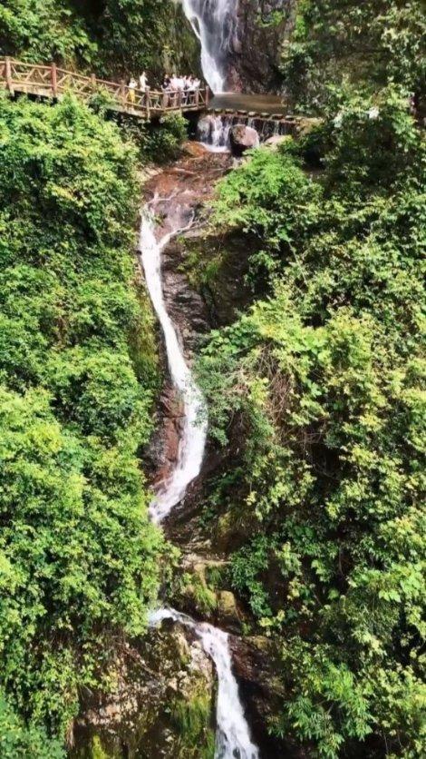 “听见”两会|海南省人大代表王鹏:建议在儋州建设产业园 破除橡胶产业发展瓶颈