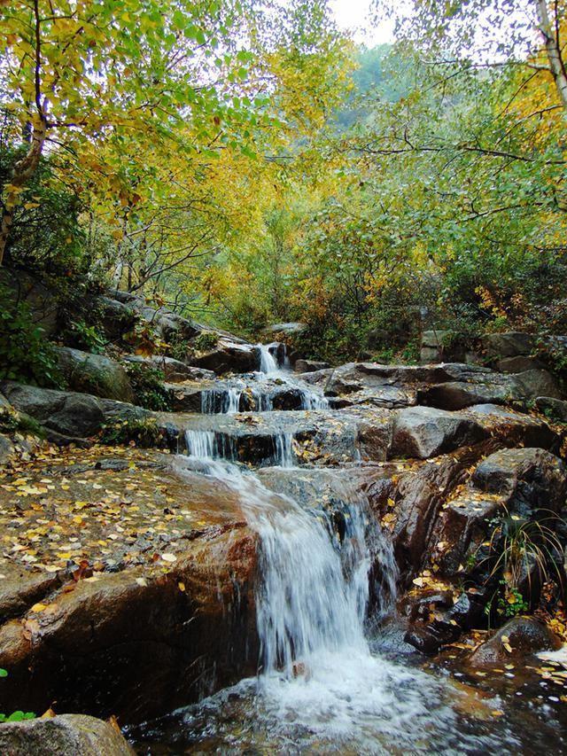 逃离宝藏岛屿