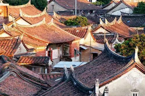 救援鹦鹉