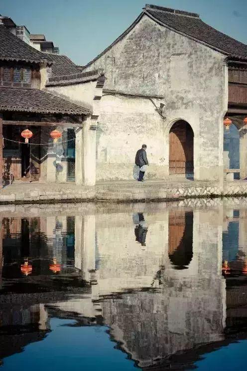 救援袋鼬